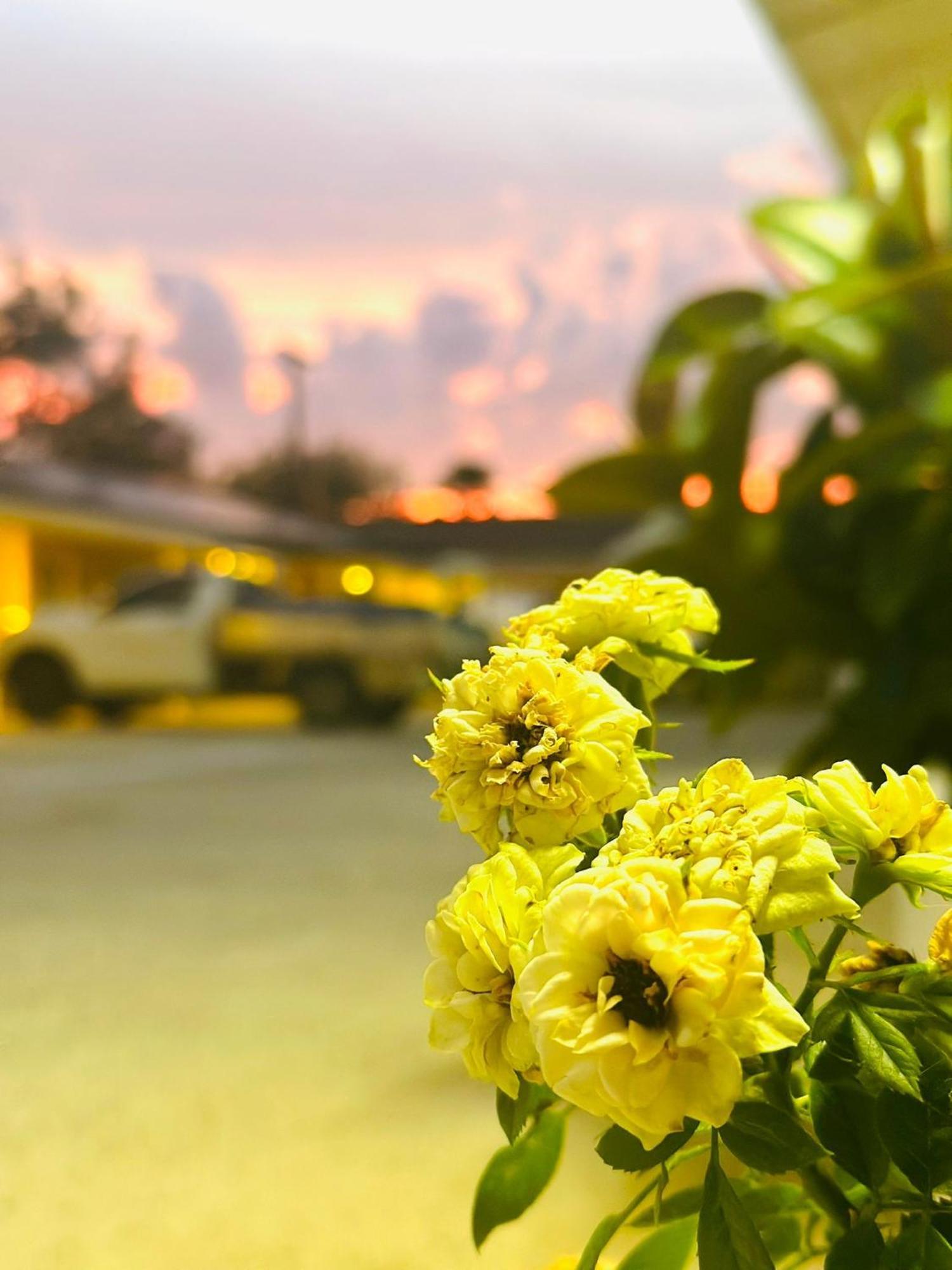 Angel's Rest Motel 3*